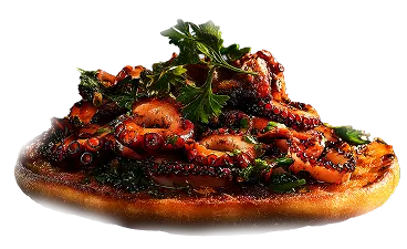 Grilled octopus plate from a Latin fusion menu in Orlando